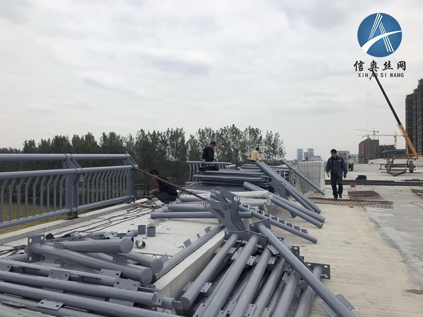 道路护栏网工程案例